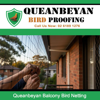 Professional balcony bird netting in Queanbeyan with transparent mesh keeping birds away safely