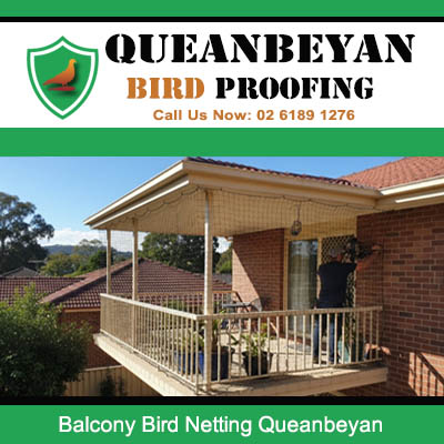 Protective balcony bird netting system on Queanbeyan house blocking pigeon and bird access