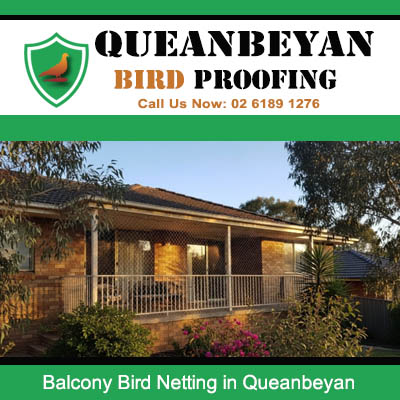 Balcony bird netting installed on Queanbeyan residential home protecting outdoor area from pest birds