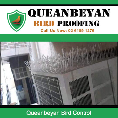 Professional bird control deterrent spikes protecting outdoor air conditioner in Queanbeyan NSW