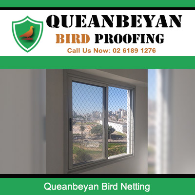 Bird netting installed on window in Queanbeyan home preventing birds from entering property