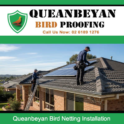 Professional bird netting installation on Queanbeyan residential roof by experienced pest control technicians