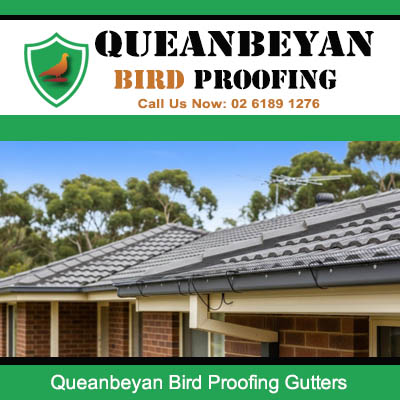 Bird proofing gutters installed on Queanbeyan home preventing bird nesting and blockages