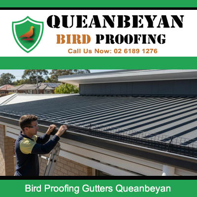 Technician installing bird proofing gutters on Queanbeyan home to prevent pest bird nesting