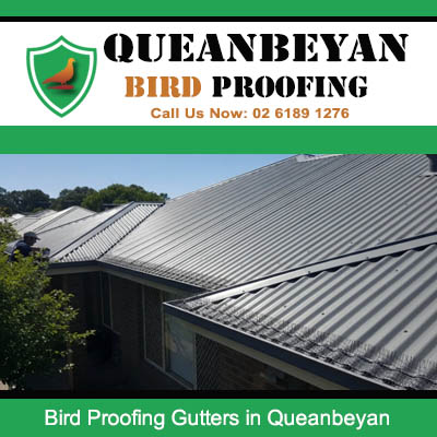 Bird proofing gutters installed on Queanbeyan residential roof preventing birds from nesting and blocking