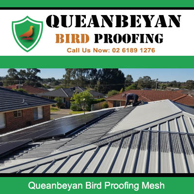 Bird proofing mesh system installed on Queanbeyan property preventing bird nesting under tiles