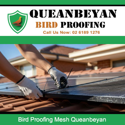 Technician installing bird proofing mesh on Queanbeyan solar panel to prevent birds from nesting