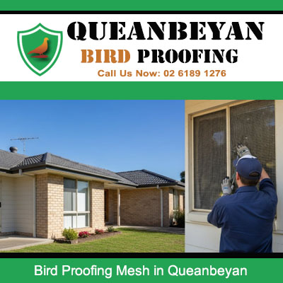 Technician installing bird proofing mesh on Queanbeyan home window preventing pest birds from entering