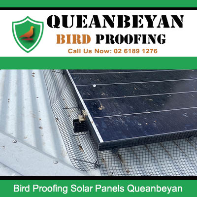 Professional bird exclusion barriers fitted to solar panels on Queanbeyan roof