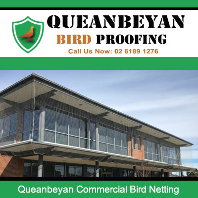 Commercial bird netting installed on Queanbeyan business building preventing pest bird problems